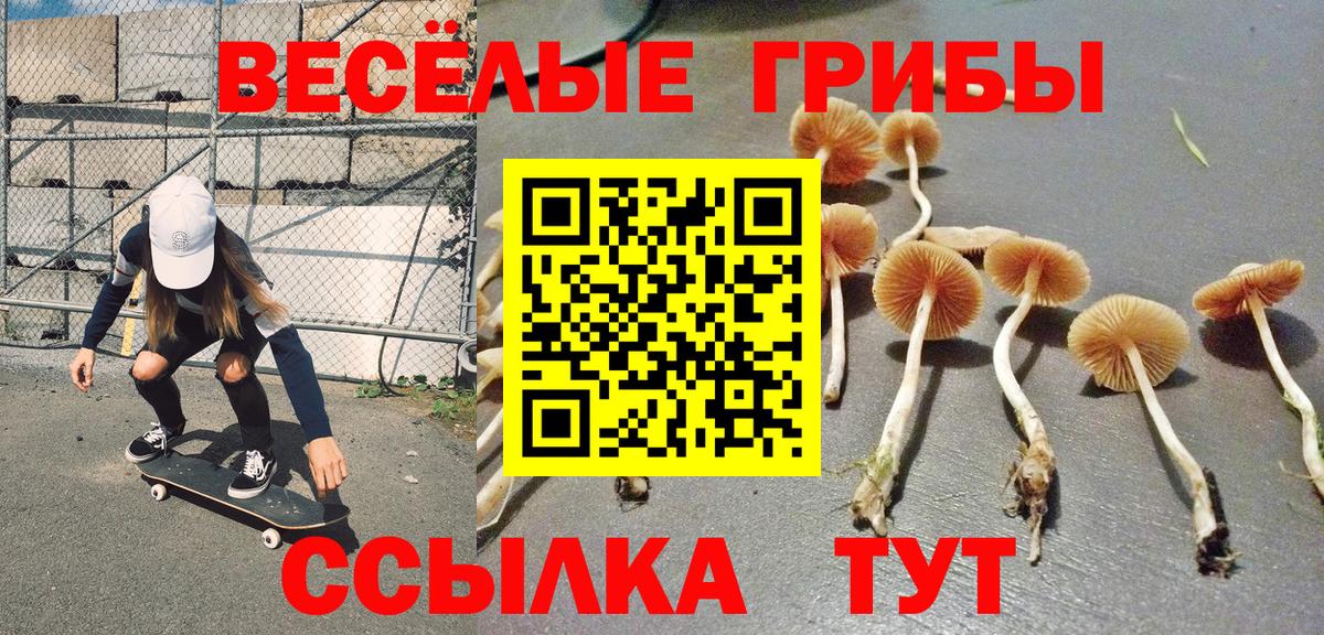 Джанкой  Псилоцибиновые грибы Psilocybine cubensis  Галлюциногенные грибы Magic Shrooms  Вход с VPN 